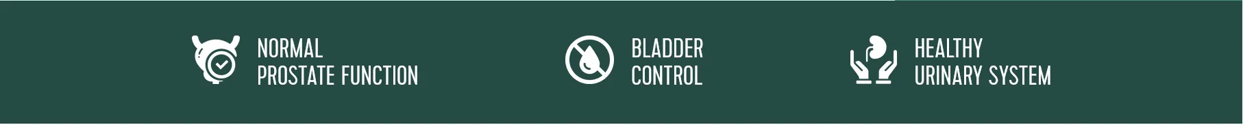 ViriFlow benefits icons for prostate function, bladder control, and urinary health.